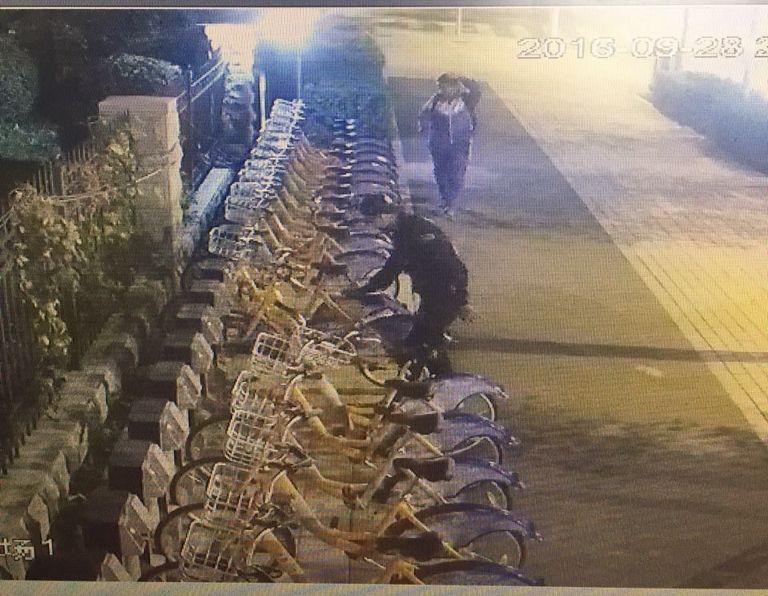 ��Ȧ(�й���)�������ǲ�!