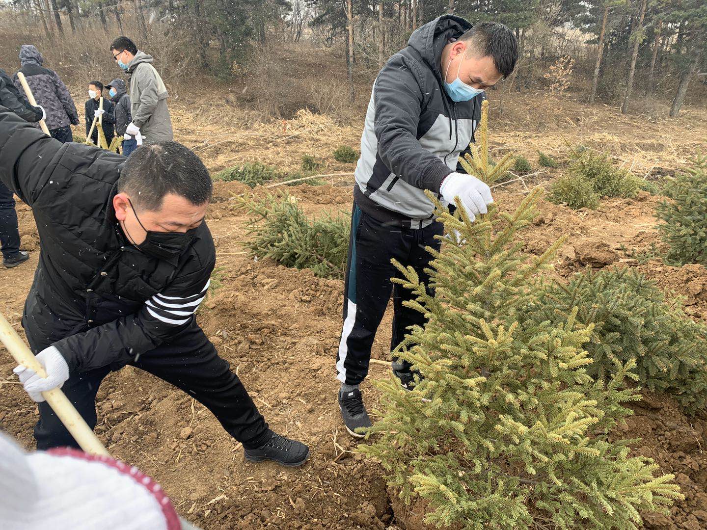 ��Ȧ(�й���)�������ǲ�!