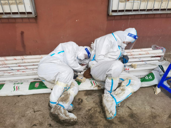 ��Ȧ(�й���)�������ǲ�!