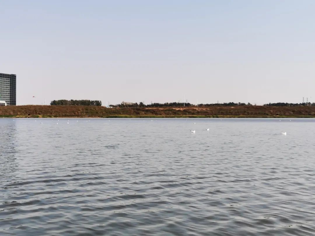 ��Ȧ(�й���)�������ǲ�!